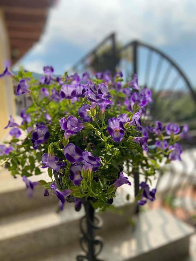 Agriturismo Rocca Dei Marchesi 사비오 치에세 외부 사진
